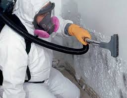 Asbestos and Lead Testing During Mold Inspection in Countryside, IL